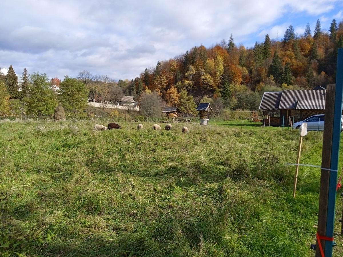 Садиба Федорчуків За Рікою Шешори Екстериор снимка