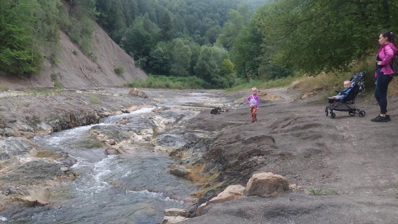 Садиба Федорчуків За Рікою Шешори Екстериор снимка
